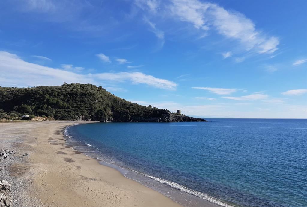 Meeting Del Mare Tre Giorni E Tre Notti Di Musica A Marina Di Camerota