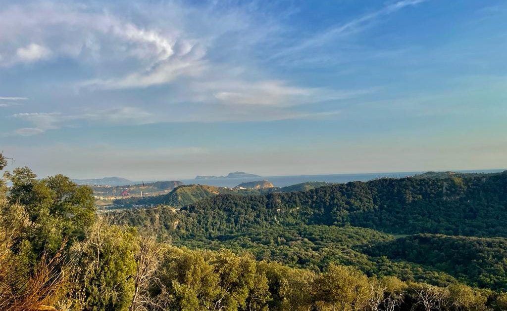 Visite Guidate Speciali AllOasi WWF Nel Cratere Degli Astroni A Napoli