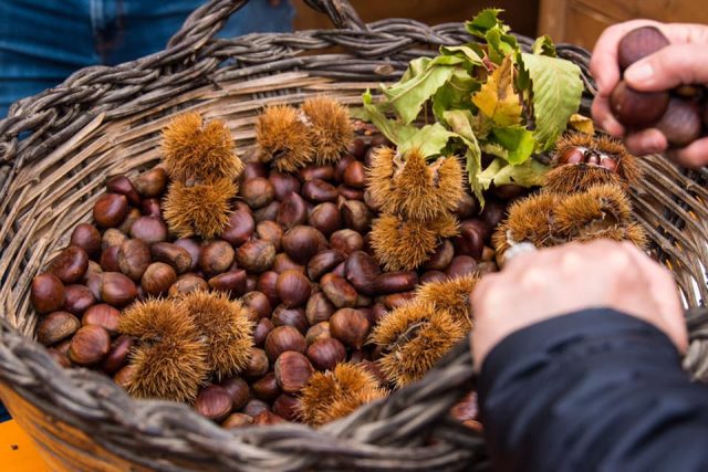 sagra castagna vitulano benevento