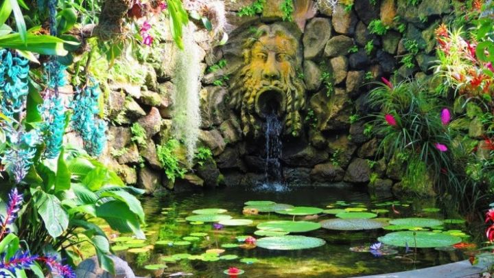 22-Incontri-Musicali-ai-Giardini-La-Mortella-di-Ischia.jpg