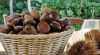 Castagne-Ph-pro-loco-Pimonte.jpg