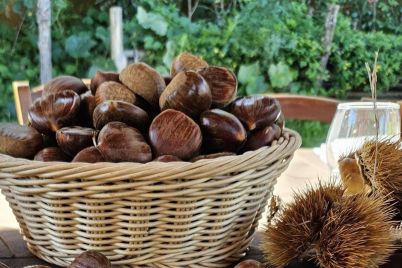 Castagne-Ph-pro-loco-Pimonte.jpg