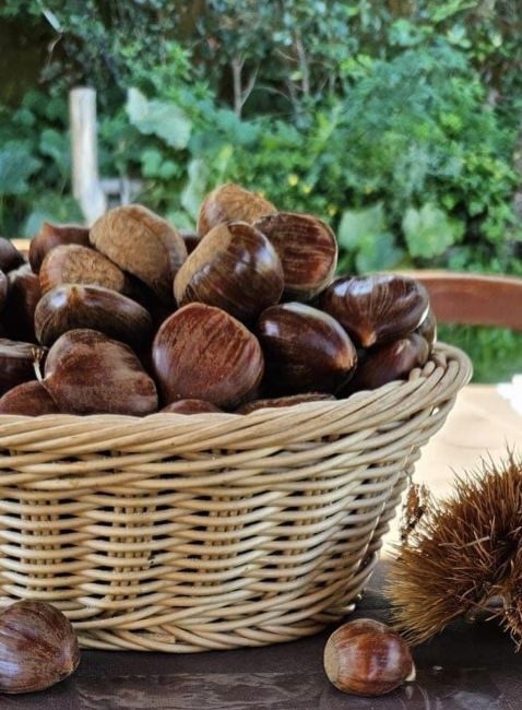 Castagne-Ph-pro-loco-Pimonte.jpg