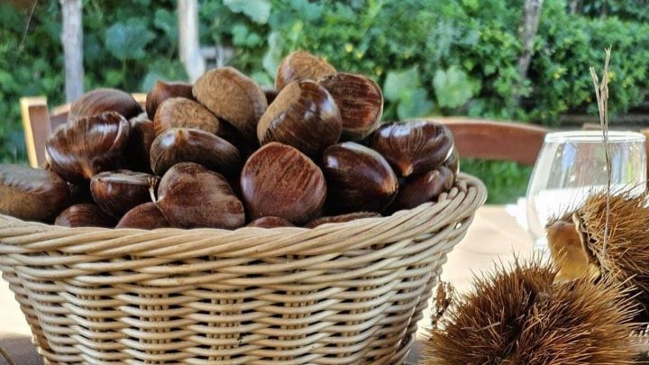 Castagne-Ph-pro-loco-Pimonte.jpg