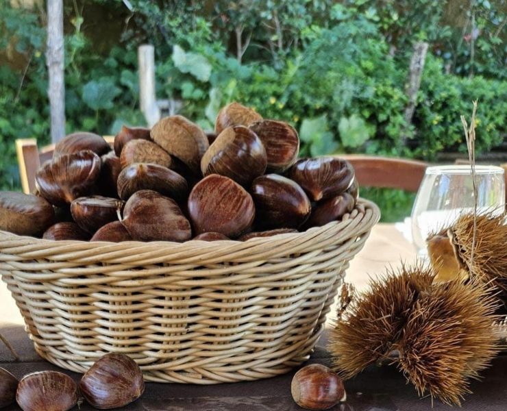 Castagne-Ph-pro-loco-Pimonte.jpg