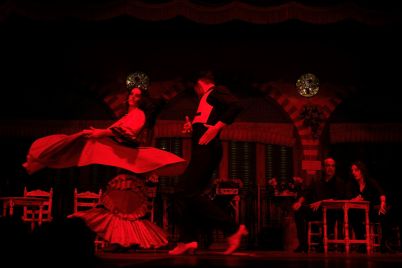 Flamenco-hoyoun-lee-UDkyfuAQd-o-unsplash-scaled.jpg