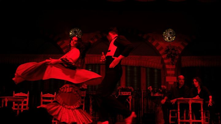 Flamenco-hoyoun-lee-UDkyfuAQd-o-unsplash-scaled.jpg