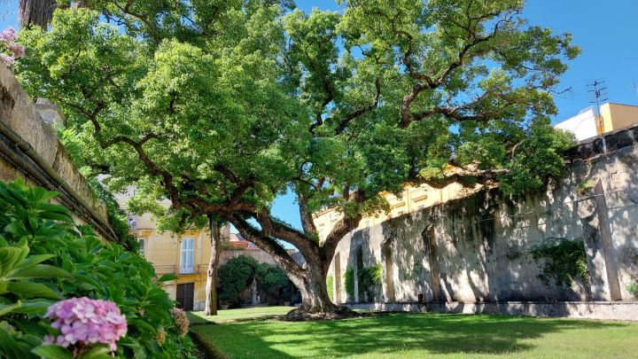 Il-Giardino-Segreto-Reggia-Di-Portici-nomea-ph-serena-spennato-2.jpeg