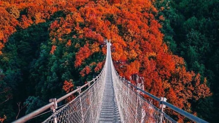 Ponte-tibetano-Laviano-Ph-Facebook-Ponte-Tibetano-Pro-Loco-Laviano.jpg