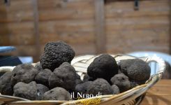 Sagra-tartufo-nero-Bagnoli-Irpino-Ph-Pro-Loco-Bagnoli-Irpino-Laceno.jpg