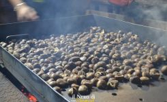 castagne-Ph-Facebook-Pro-Loco-Bagnoli-Irpino-Laceno-il-nero-di-bagnoli.-1.jpg