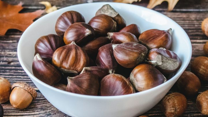 castagne-tijana-drndarski-_VxbbphbUdg-unsplash-scaled.jpg