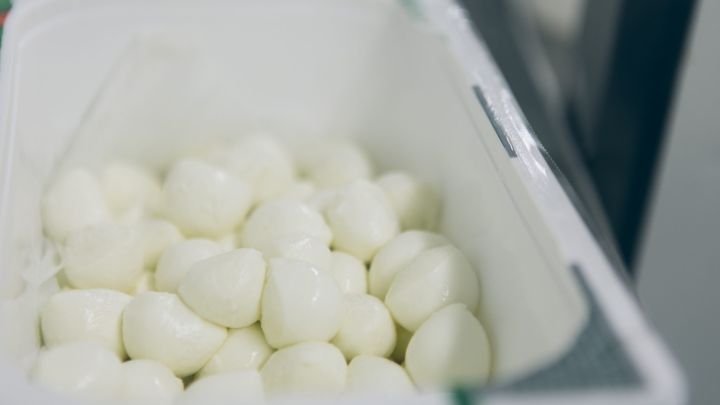 mozzarella-laura-novara-Z9H78pwQJMY-unsplash-scaled.jpg