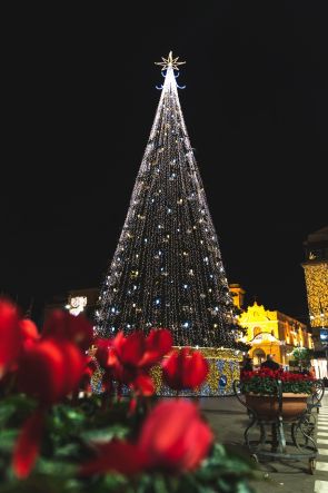 Natale 2024 a Sorrento: Il programma delle attrazioni, luminarie e eventi di M’illumino d’Inverno