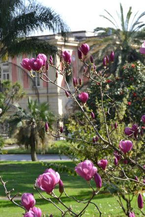 Festa dell’Albero 2024 a Napoli: Eventi Gratuiti all’Orto Botanico